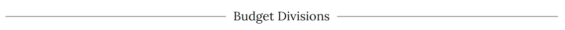 Divider Image for Budget Divisions